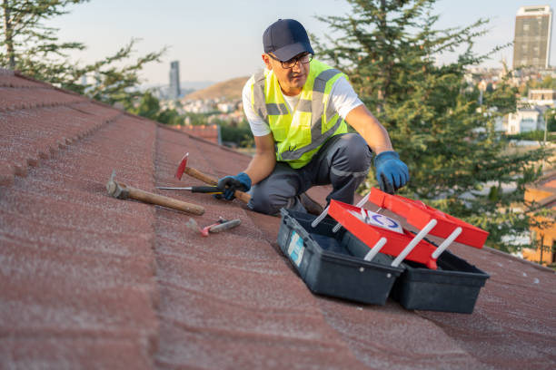 Siding Installation